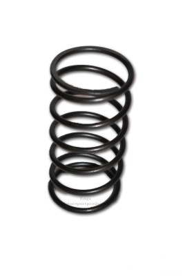 Wastegate fjær 1Bar Audi 100/200 10V