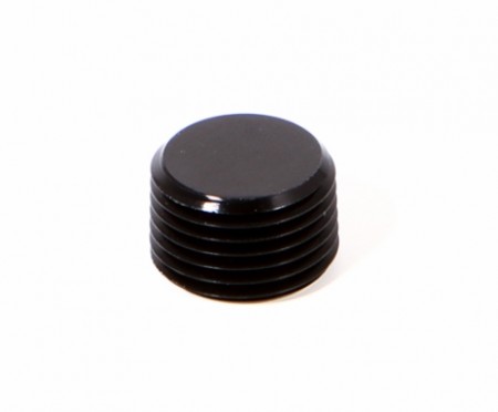 1/16 NPT plugg